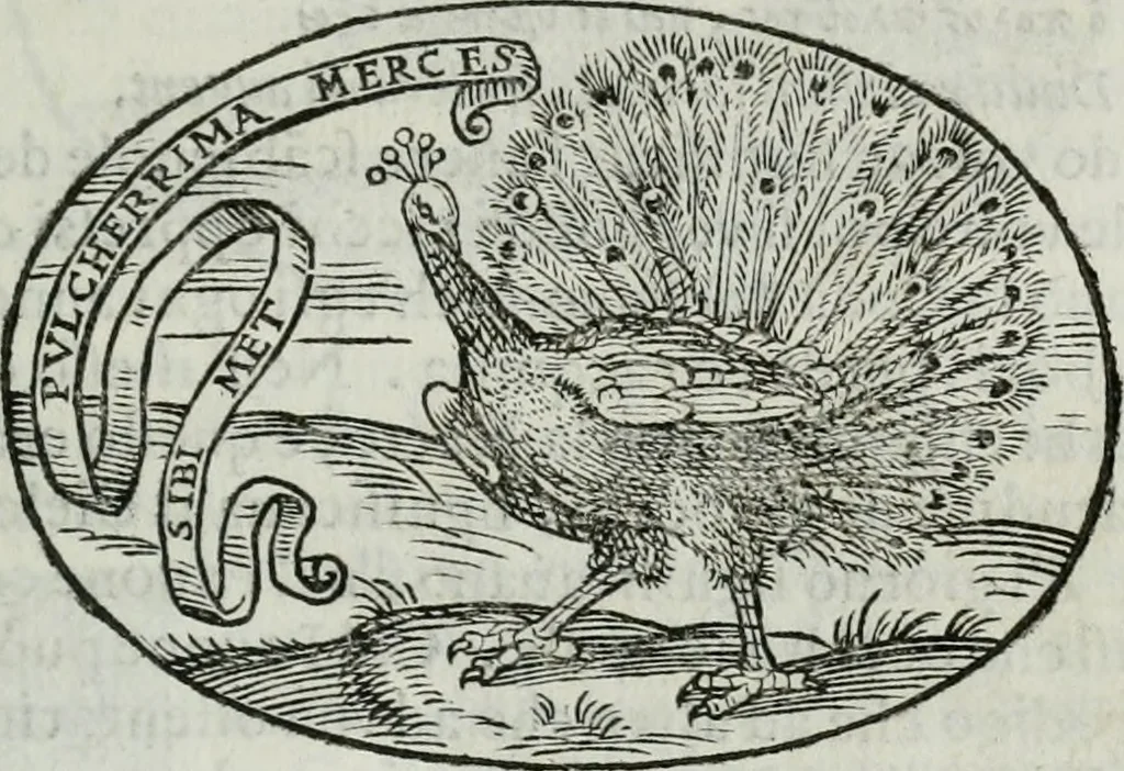 An illustration from Delle imprese trattato, 1592, leaf 462