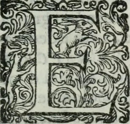 An illustration from Delle imprese trattato, 1592, leaf 462
