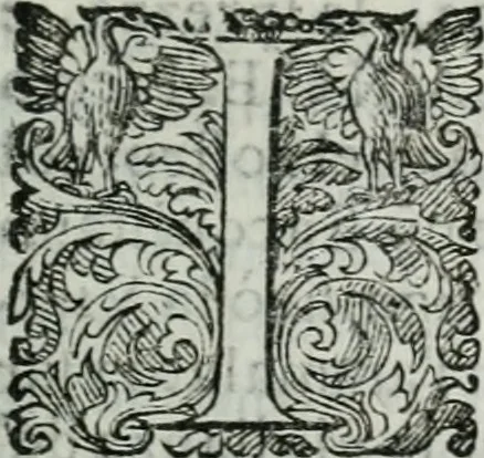 An illustration from Delle imprese trattato, 1592, leaf 464