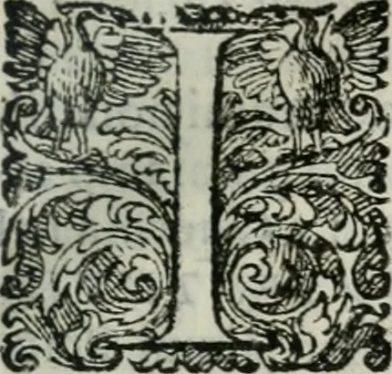 An illustration from Delle imprese trattato, 1592, leaf 484