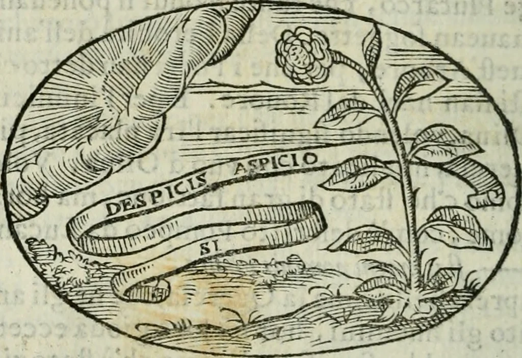 An illustration from Delle imprese trattato, 1592, leaf 485