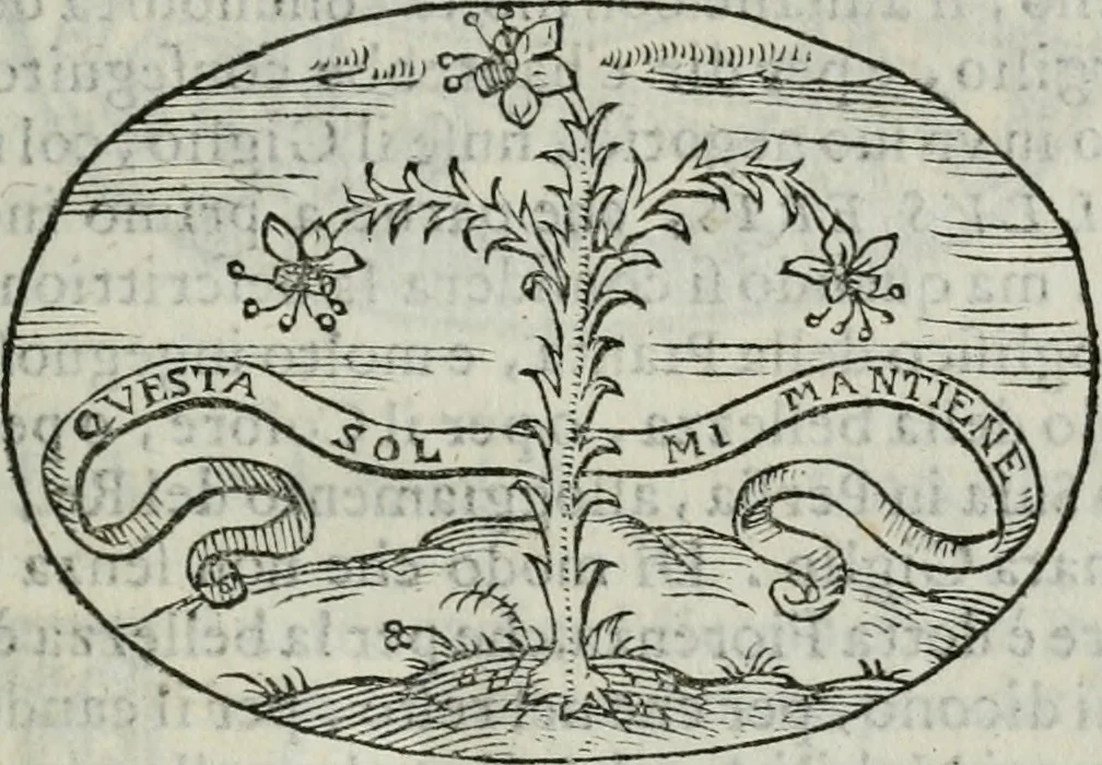 An illustration from Delle imprese trattato, 1592, leaf 490