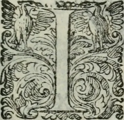 An illustration from Delle imprese trattato, 1592, leaf 502