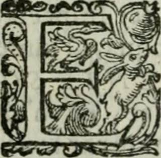 An illustration from Delle imprese trattato, 1592, leaf 503