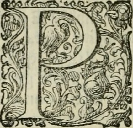 An illustration from Delle imprese trattato, 1592, leaf 511