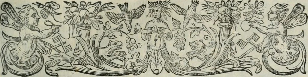 An illustration from Delle imprese trattato, 1592, leaf 532