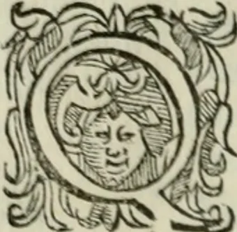 An illustration from Delle imprese trattato, 1592, leaf 539