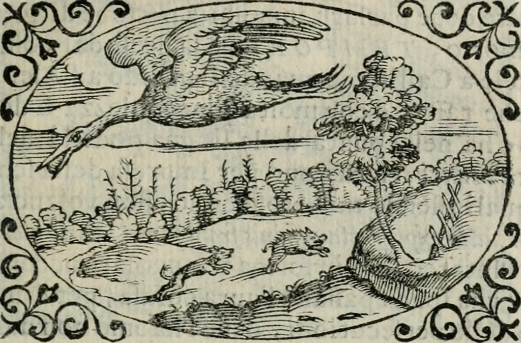 An illustration from Delle imprese trattato, 1592, leaf 542