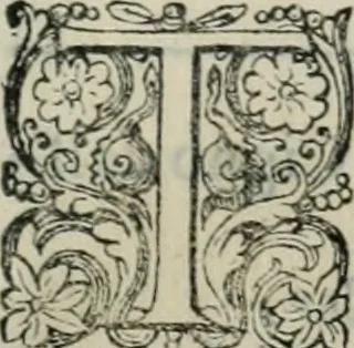 An illustration from Delle imprese trattato, 1592, leaf 544