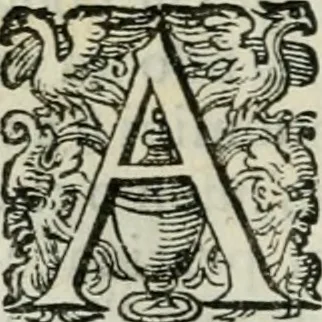 An illustration from Delle imprese trattato, 1592, leaf 551