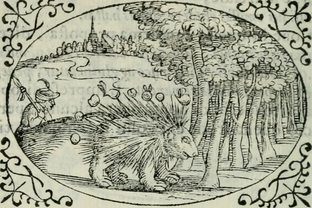 An illustration from Delle imprese trattato, 1592, leaf 557