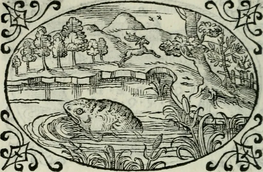 An illustration from Delle imprese trattato, 1592, leaf 561