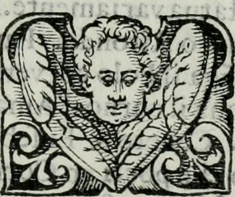 An illustration from Delle imprese trattato, 1592, leaf 562