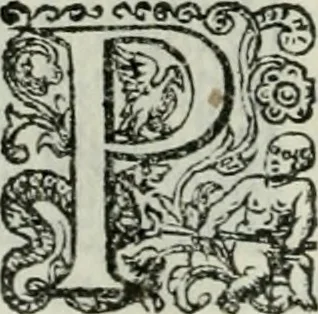 An illustration from Delle imprese trattato, 1592, leaf 563