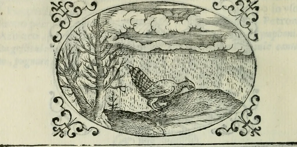 An illustration from Delle imprese trattato, 1592, leaf 575