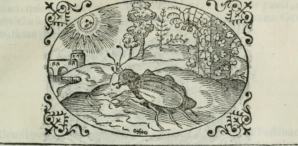 An illustration from Delle imprese trattato, 1592, leaf 582