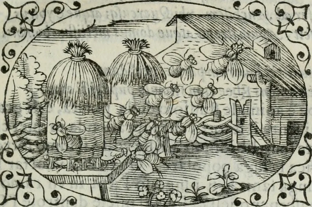 An illustration from Delle imprese trattato, 1592, leaf 586