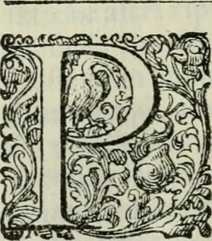 An illustration from Delle imprese trattato, 1592, leaf 589