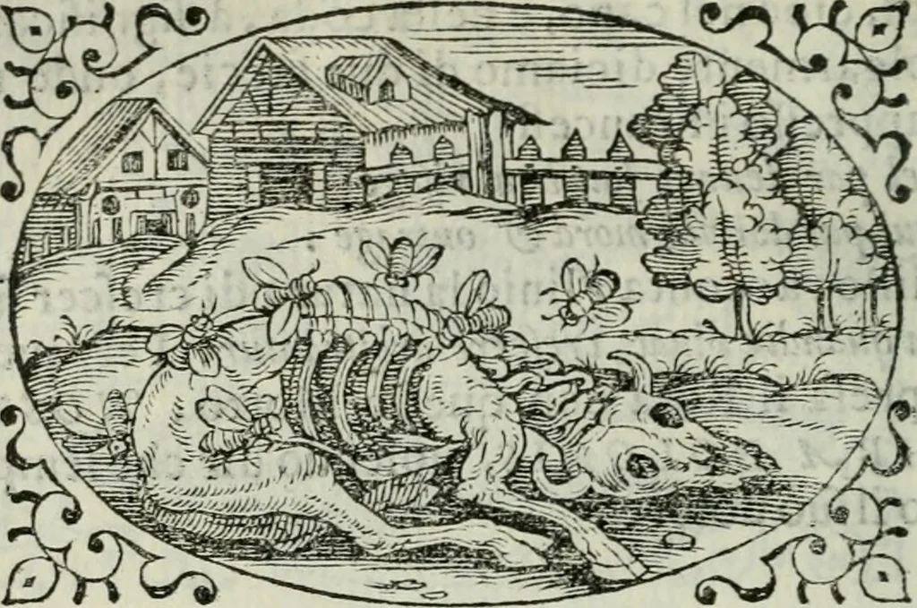 An illustration from Delle imprese trattato, 1592, leaf 591