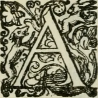 An illustration from Delle imprese trattato, 1592, leaf 595