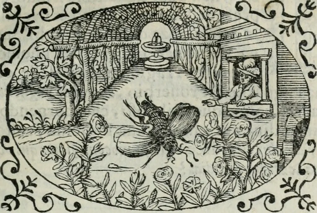 An illustration from Delle imprese trattato, 1592, leaf 598