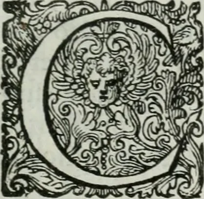 An illustration from Delle imprese trattato, 1592, leaf 606