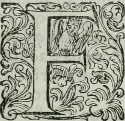 An illustration from Delle imprese trattato, 1592, leaf 608