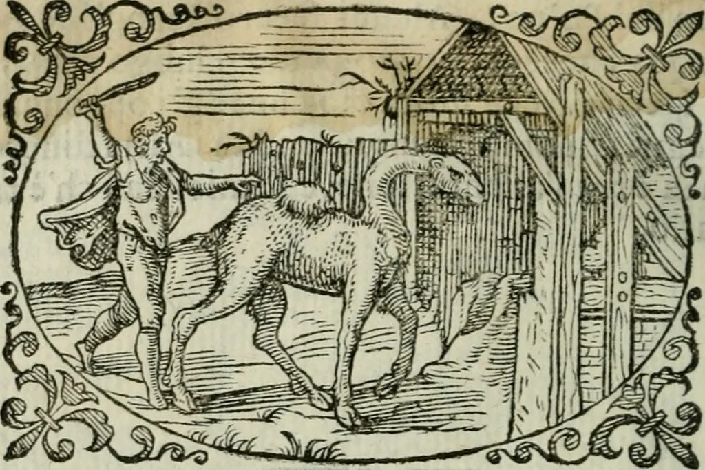 An illustration from Delle imprese trattato, 1592, leaf 615
