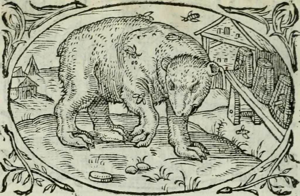An illustration from Delle imprese trattato, 1592, leaf 621