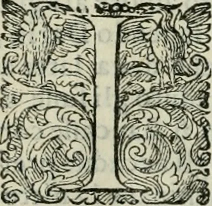 An illustration from Delle imprese trattato, 1592, leaf 629