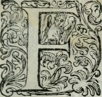 An illustration from Delle imprese trattato, 1592, leaf 636