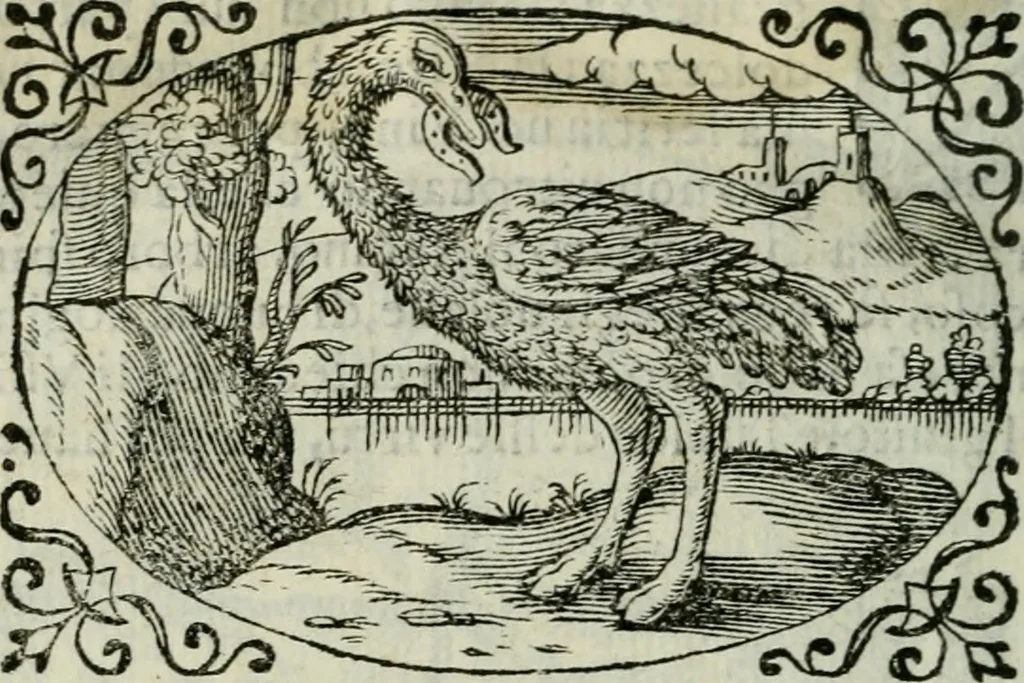 An illustration from Delle imprese trattato, 1592, leaf 639