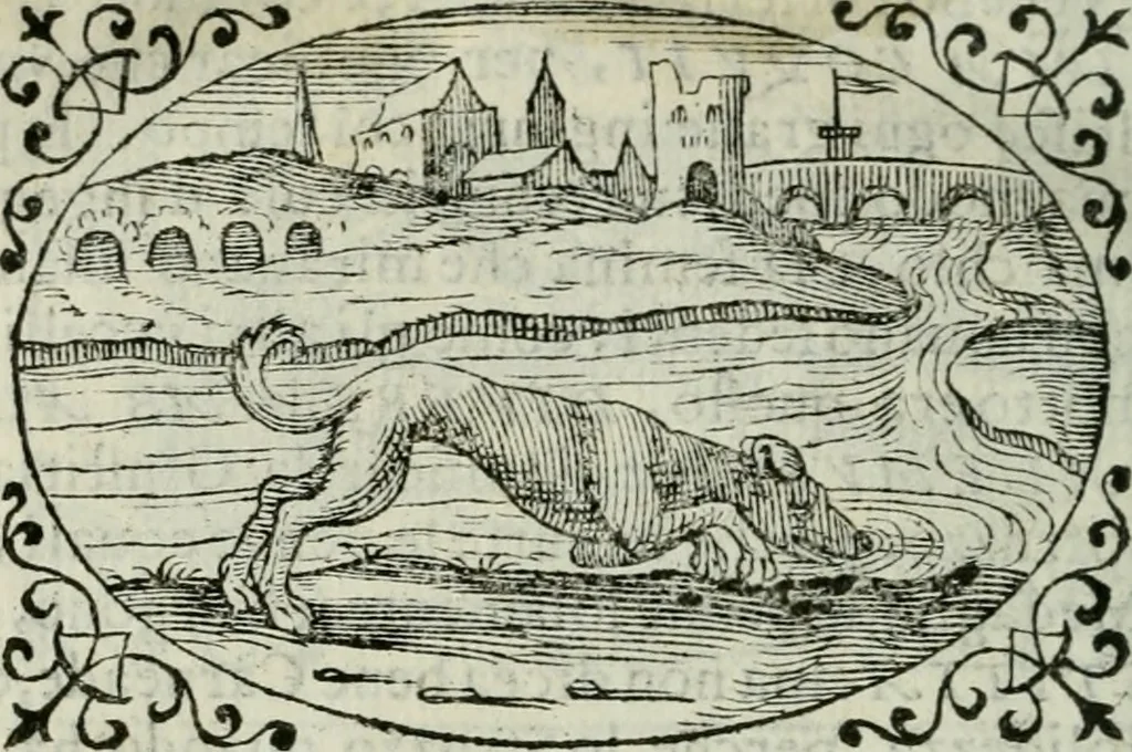An illustration from Delle imprese trattato, 1592, leaf 641