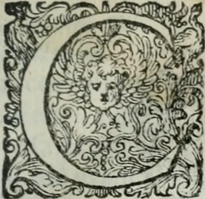 An illustration from Delle imprese trattato, 1592, leaf 642