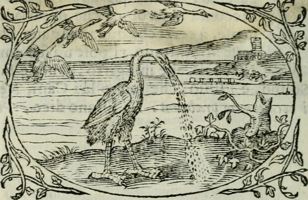 An illustration from Delle imprese trattato, 1592, leaf 643