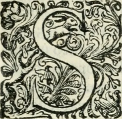An illustration from Delle imprese, trattato, 1592, leaf 108