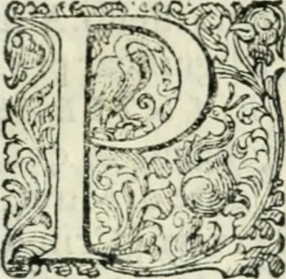 An illustration from Delle imprese, trattato, 1592, leaf 128