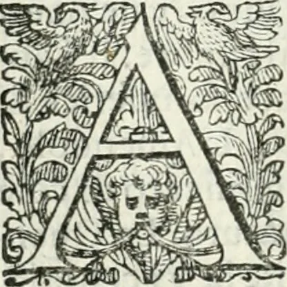 An illustration from Delle imprese, trattato, 1592, leaf 155