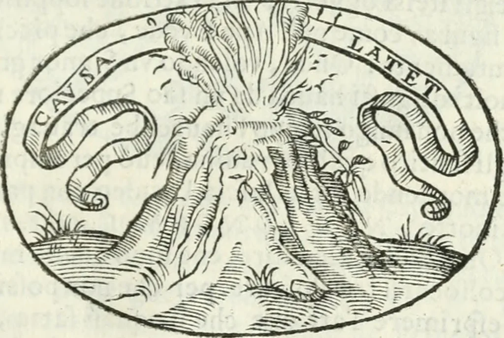 An illustration from Delle imprese, trattato, 1592, leaf 164