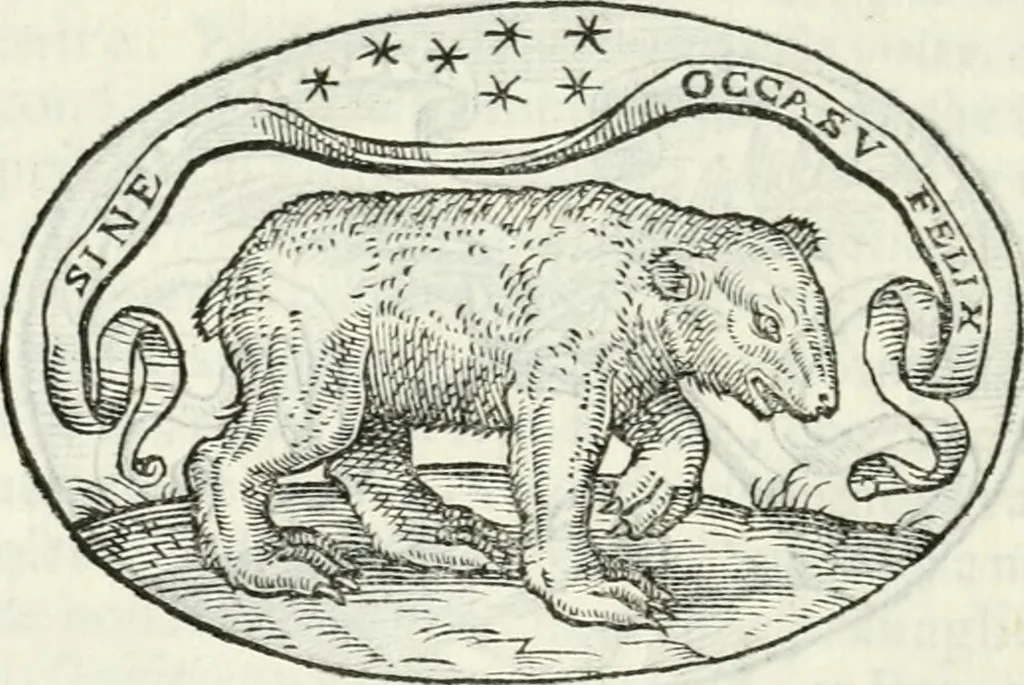 An illustration from Delle imprese, trattato, 1592, leaf 167