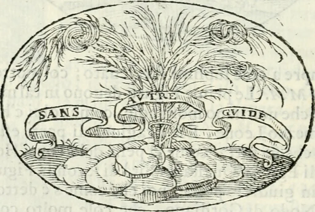 An illustration from Delle imprese, trattato, 1592, leaf 203