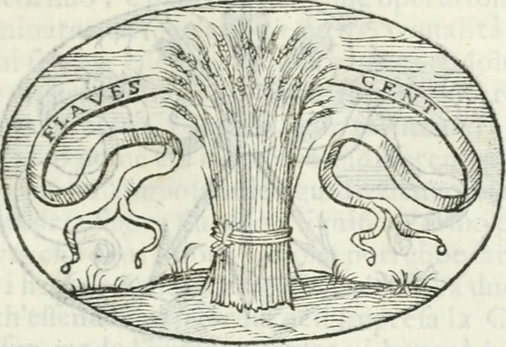 An illustration from Delle imprese, trattato, 1592, leaf 206