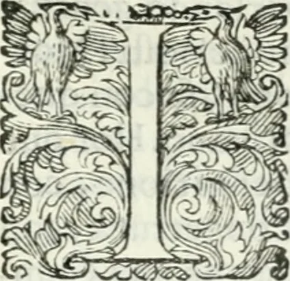 An illustration from Delle imprese, trattato, 1592, leaf 214