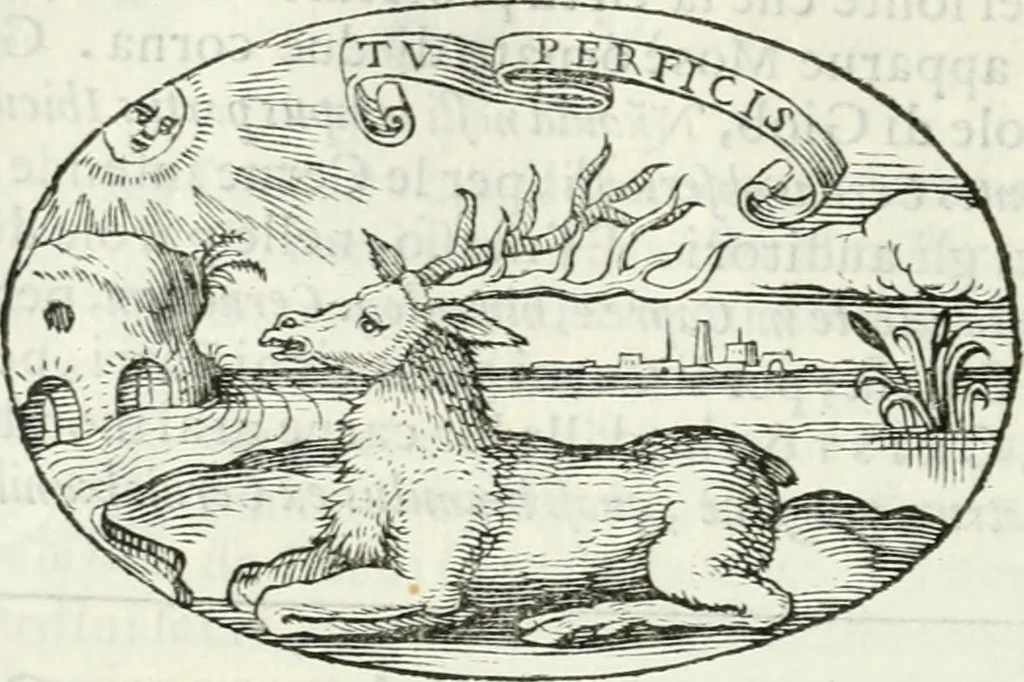 An illustration from Delle imprese, trattato, 1592, leaf 265