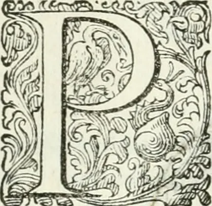 An illustration from Delle imprese, trattato, 1592, leaf 269
