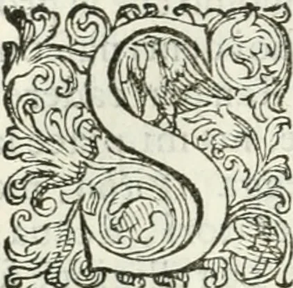 An illustration from Delle imprese, trattato, 1592, leaf 273