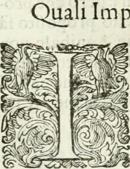 An illustration from Delle imprese, trattato, 1592, leaf 273