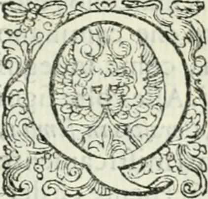 An illustration from Delle imprese, trattato, 1592, leaf 282