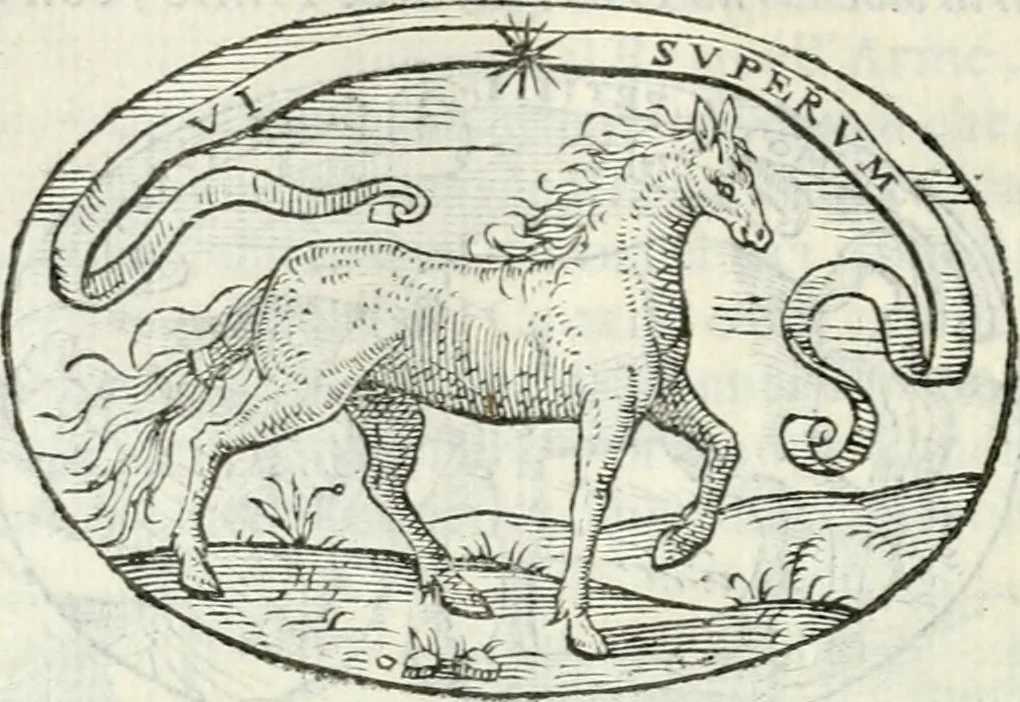 An illustration from Delle imprese, trattato, 1592, leaf 289