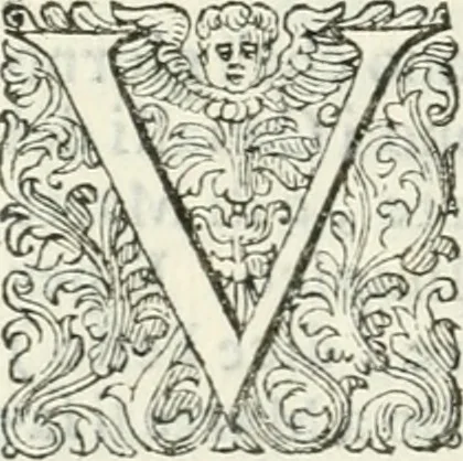 An illustration from Delle imprese, trattato, 1592, leaf 293
